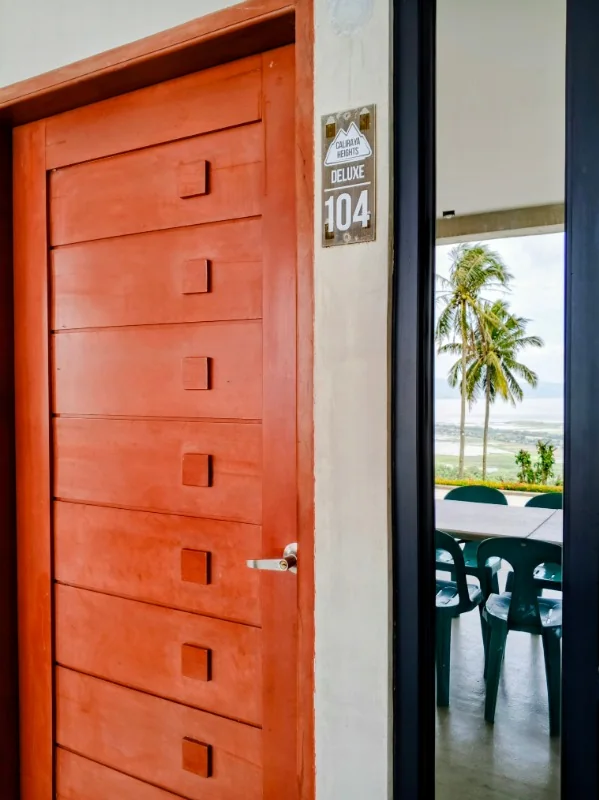 Deluxe Room — photo 4